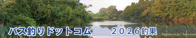 �Q�O�Q�U�މ�