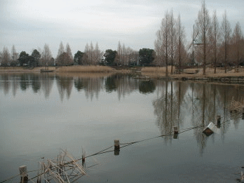 バス釣り/松伏公園/日記