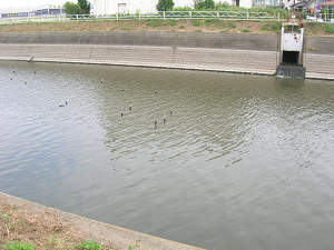 水門