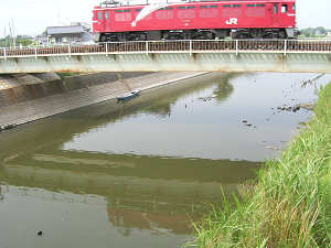 JR陸橋 バス釣り