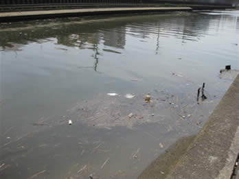 バス釣り 花畑運河