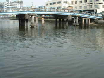 バス釣りドットコム　花畑運河　雪見橋