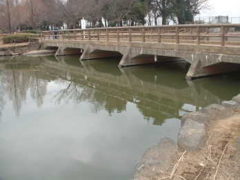 松伏公園/バス釣り