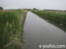 近くの水路