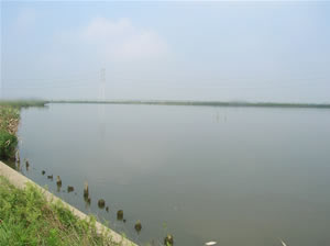 与田浦